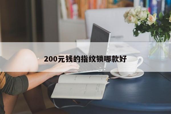 200元钱的指纹锁哪款好
