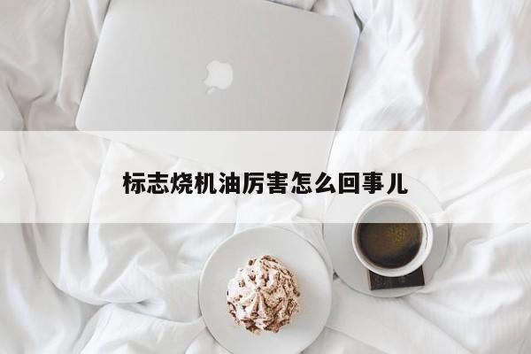 标志烧机油厉害怎么回事儿