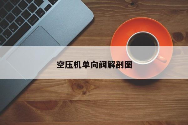 空压机单向阀解剖图