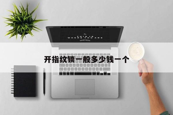 开指纹锁一般多少钱一个