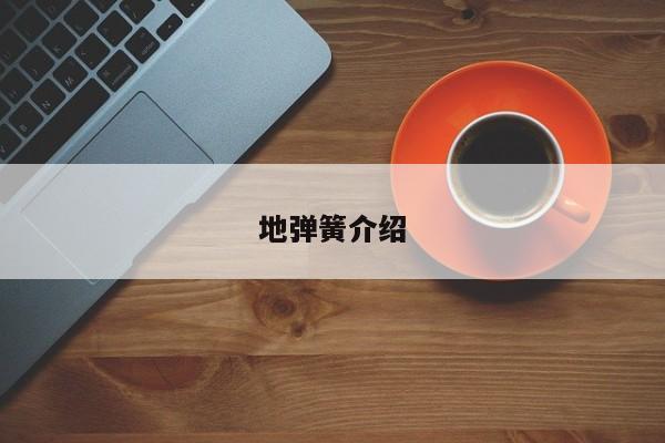 地弹簧介绍