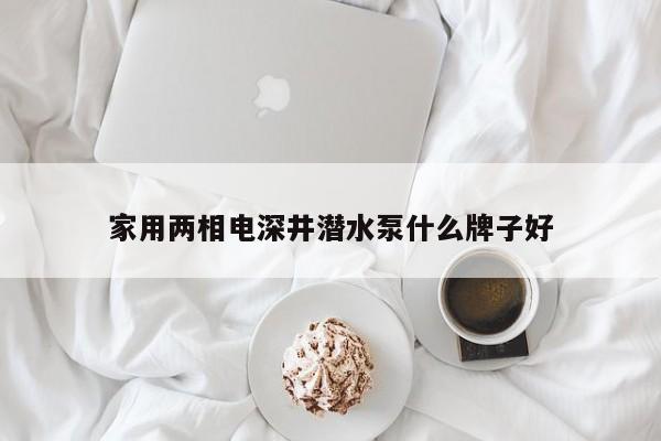 家用两相电深井潜水泵什么牌子好