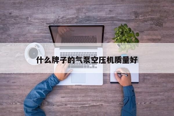 什么牌子的气泵空压机质量好