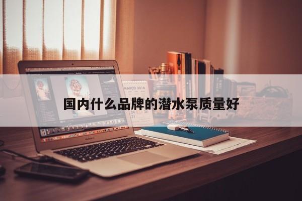 国内什么品牌的潜水泵质量好