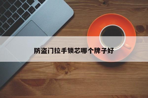 防盗门拉手锁芯哪个牌子好