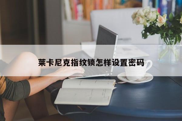 莱卡尼克指纹锁怎样设置密码