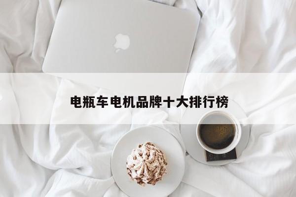 电瓶车电机品牌十大排行榜