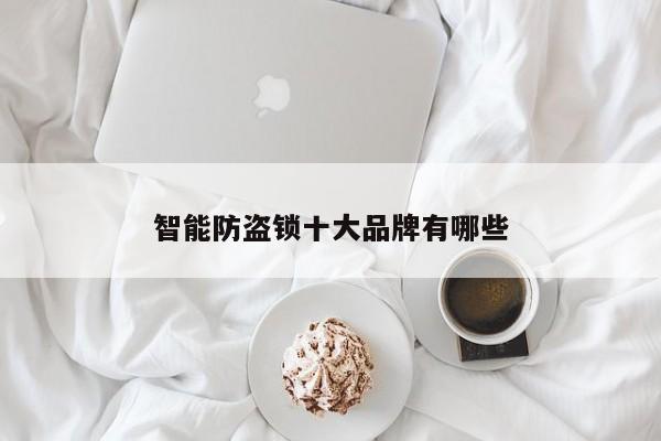 智能防盗锁十大品牌有哪些
