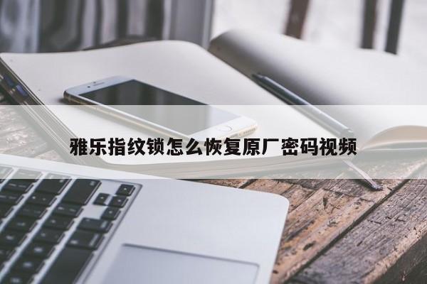 雅乐指纹锁怎么恢复原厂密码视频