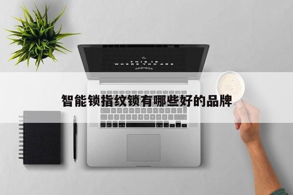 智能锁指纹锁有哪些好的品牌