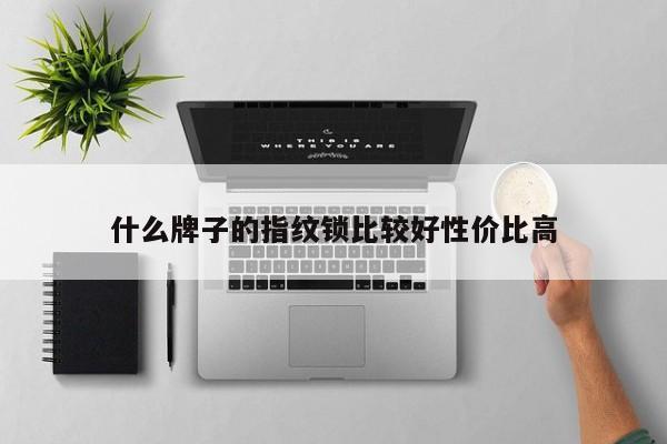 什么牌子的指纹锁比较好性价比高