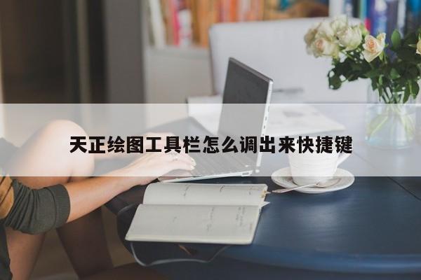 天正绘图工具栏怎么调出来快捷键