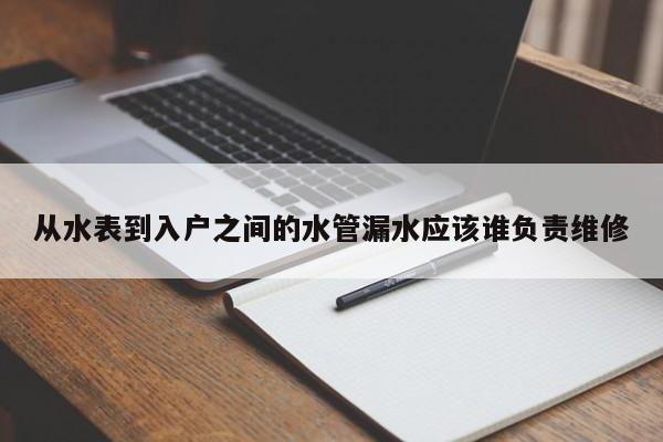 从水表到入户之间的水管漏水应该谁负责维修