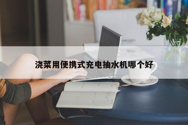 浇菜用便携式充电抽水机哪个好